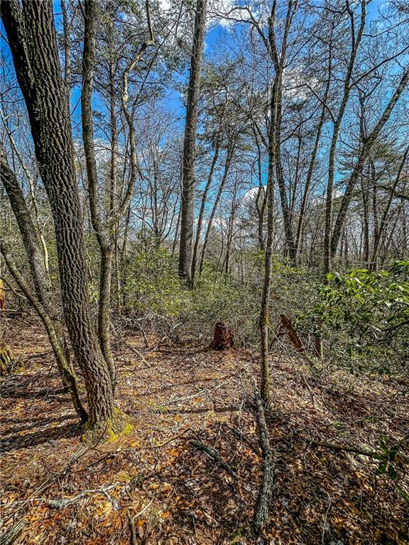 0 T S Jarrard Road Dahlonega, GA 30533 - Photo 28 of 43 a backyard of a house with lots of green space