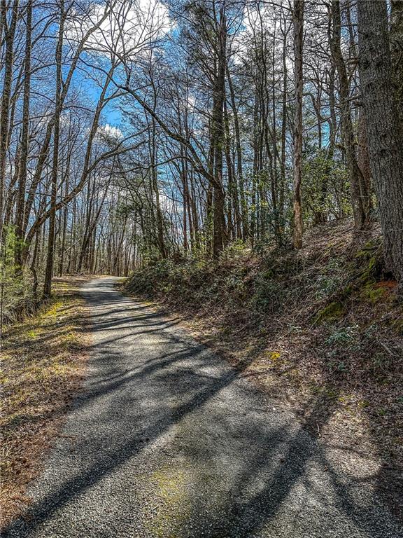 0 T S Jarrard Road Dahlonega, GA 30533 - Photo 3 of 43 a view of backyard of house