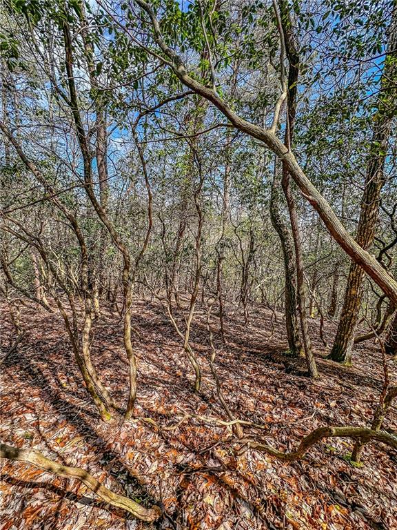 0 T S Jarrard Road Dahlonega, GA 30533 - Photo 32 of 43 a backyard of a house with lots of green space