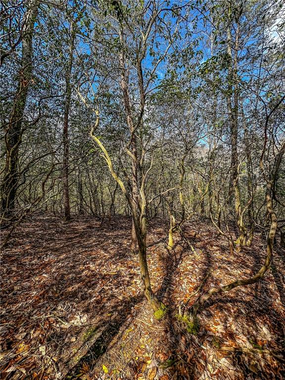 0 T S Jarrard Road Dahlonega, GA 30533 - Photo 33 of 43 a view of a yard with large trees