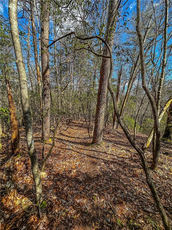 0 T S Jarrard Road Dahlonega, GA 30533 - Photo 34 of 43 a view of a yard with trees