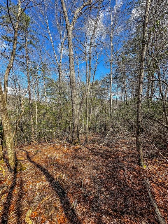 0 T S Jarrard Road Dahlonega, GA 30533 - Photo 36 of 43 a view of a yard with trees