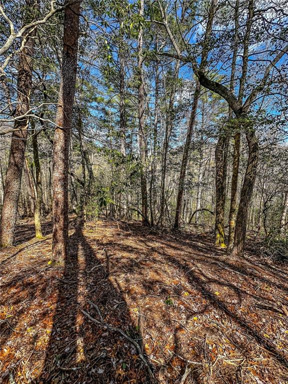 0 T S Jarrard Road Dahlonega, GA 30533 - Photo 38 of 43 a view of a yard with plants and trees