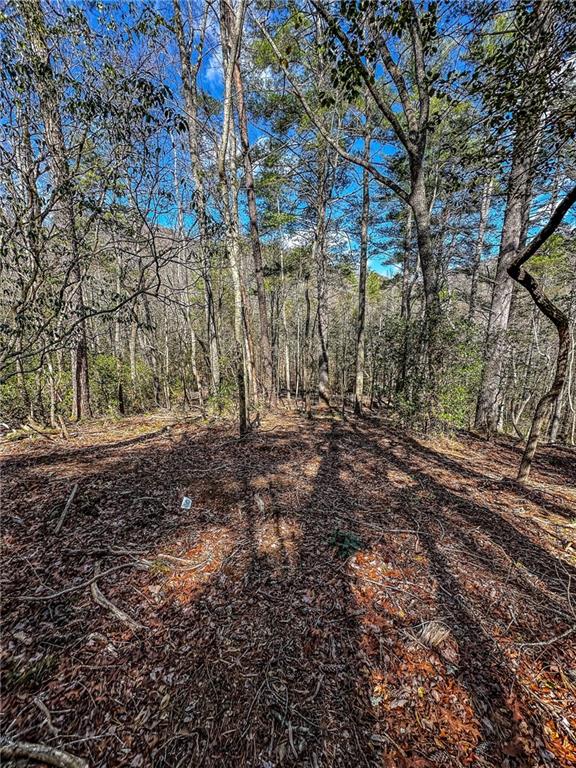 0 T S Jarrard Road Dahlonega, GA 30533 - Photo 39 of 43 a view of backyard with green space