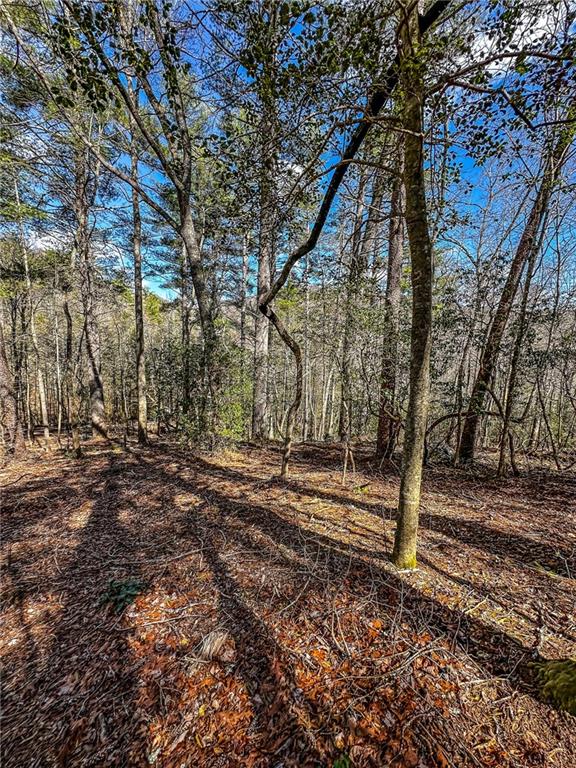 0 T S Jarrard Road Dahlonega, GA 30533 - Photo 40 of 43 a backyard of a house with lots of green space