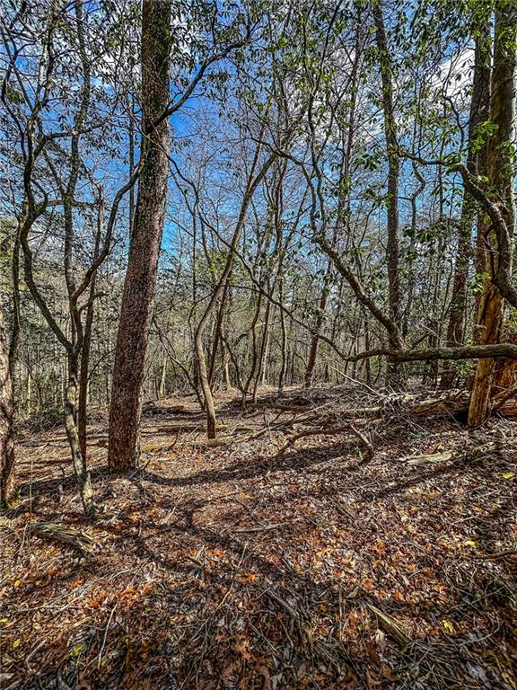 0 T S Jarrard Road Dahlonega, GA 30533 - Photo 4 of 43 a backyard of a house with lots of green space