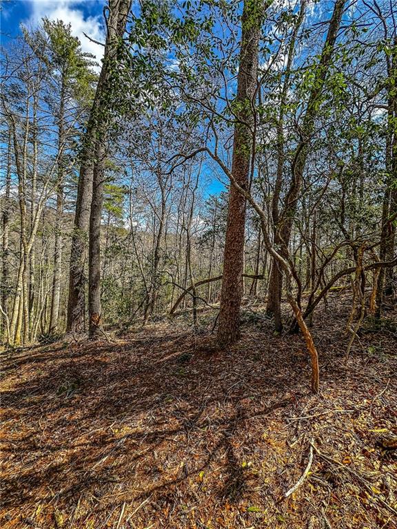 0 T S Jarrard Road Dahlonega, GA 30533 - Photo 41 of 43 a backyard of a house with lots of green space