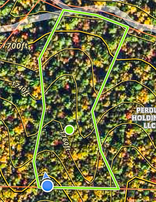 0 T S Jarrard Road Dahlonega, GA 30533 - Photo 43 of 43 a picture of a tree