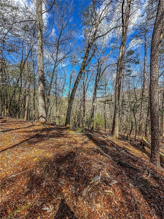 0 T S Jarrard Road Dahlonega, GA 30533 - Photo 6 of 43 a view of a yard with trees