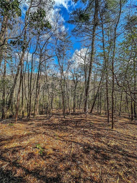 0 T S Jarrard Road Dahlonega, GA 30533 - Photo 7 of 43 a view of outdoor space with trees