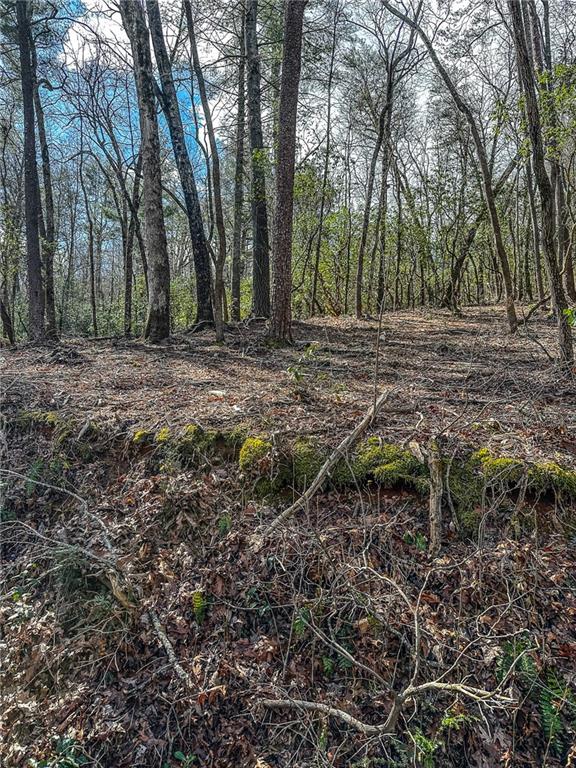 0 T S Jarrard Road Dahlonega, GA 30533 - Photo 8 of 43 a backyard of a house with lots of green space