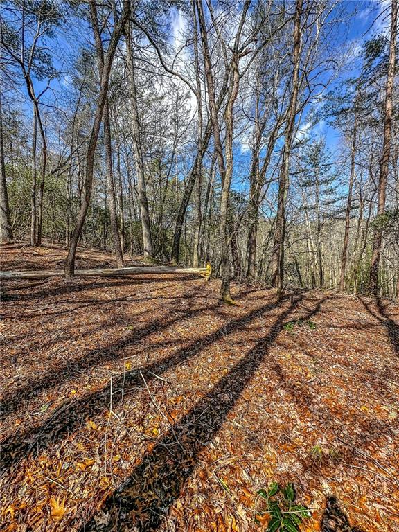 0 T S Jarrard Road Dahlonega, GA 30533 - Photo 9 of 43 a view of dirt yard with large trees