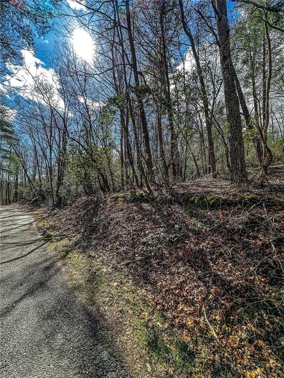 0 T S Jarrard Road Dahlonega, GA 30533 - Photo 10 of 43 a view of a yard with large trees
