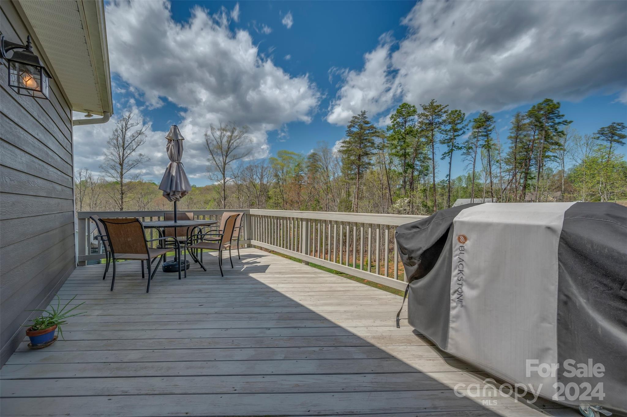 124 Somerset Lane Rutherfordton, NC 28139 - Photo 35 of 44 Gallery Image 35