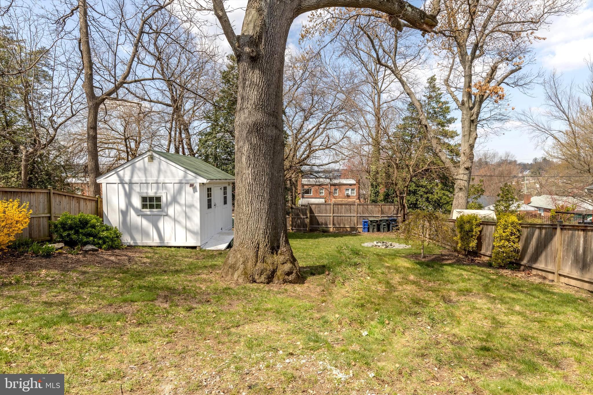 6118 Sligo Mill Road Northeast Washington, DC 20011 - Photo 24 of 28 a view of a yard with plants and a large tree