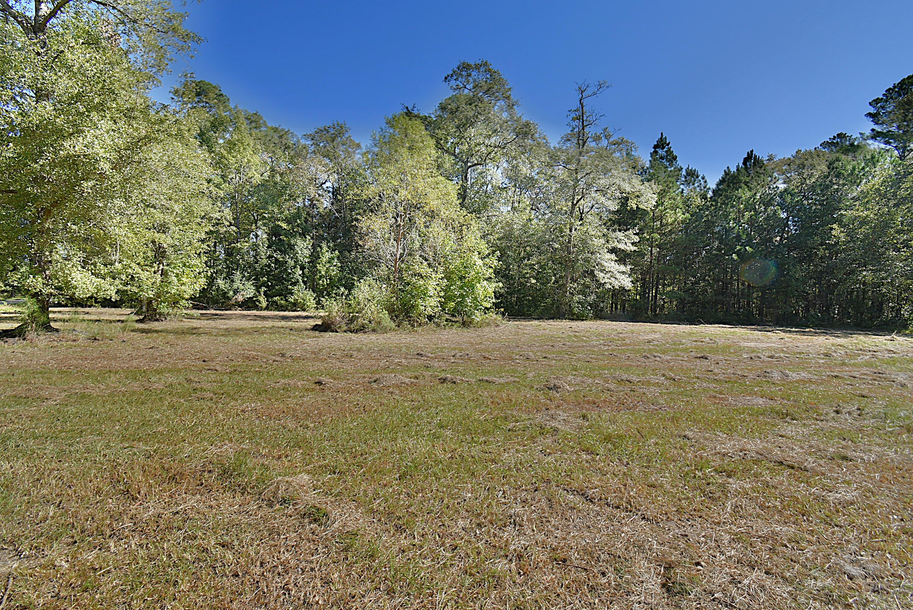 215 Frog Hollow Road Varnville, SC 29944 - Photo 7 of 13 2024-10-11 11.31.33