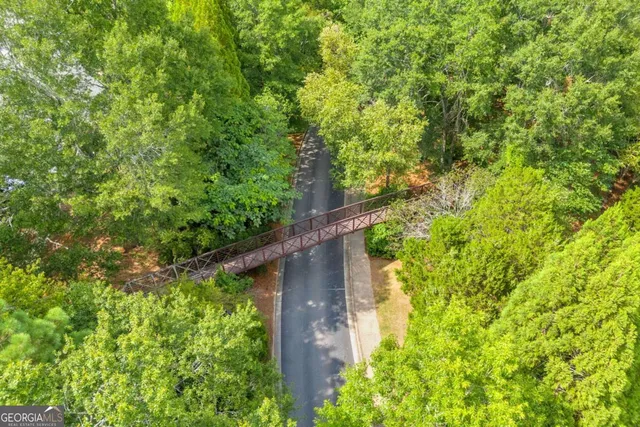 a view of a yard with plants and trees