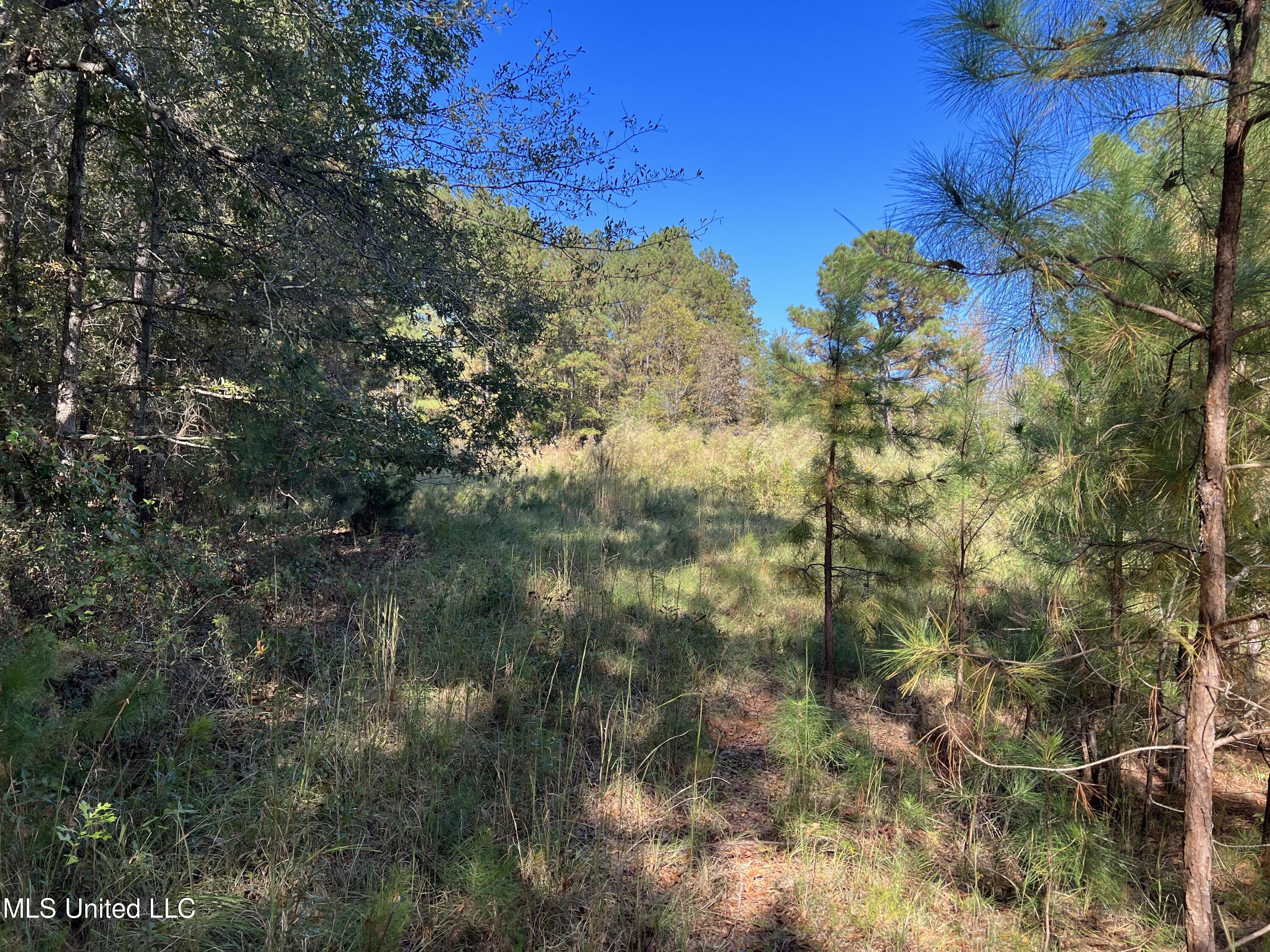 3010 Roberts Road Carthage, MS 39051 - Photo 11 of 25 IMG_8343