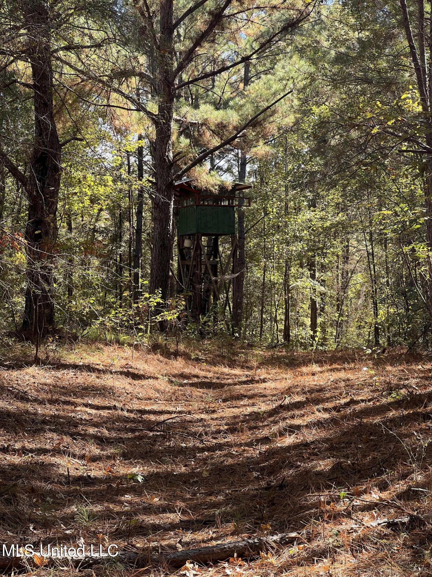 3010 Roberts Road Carthage, MS 39051 - Photo 16 of 25 IMG_8350