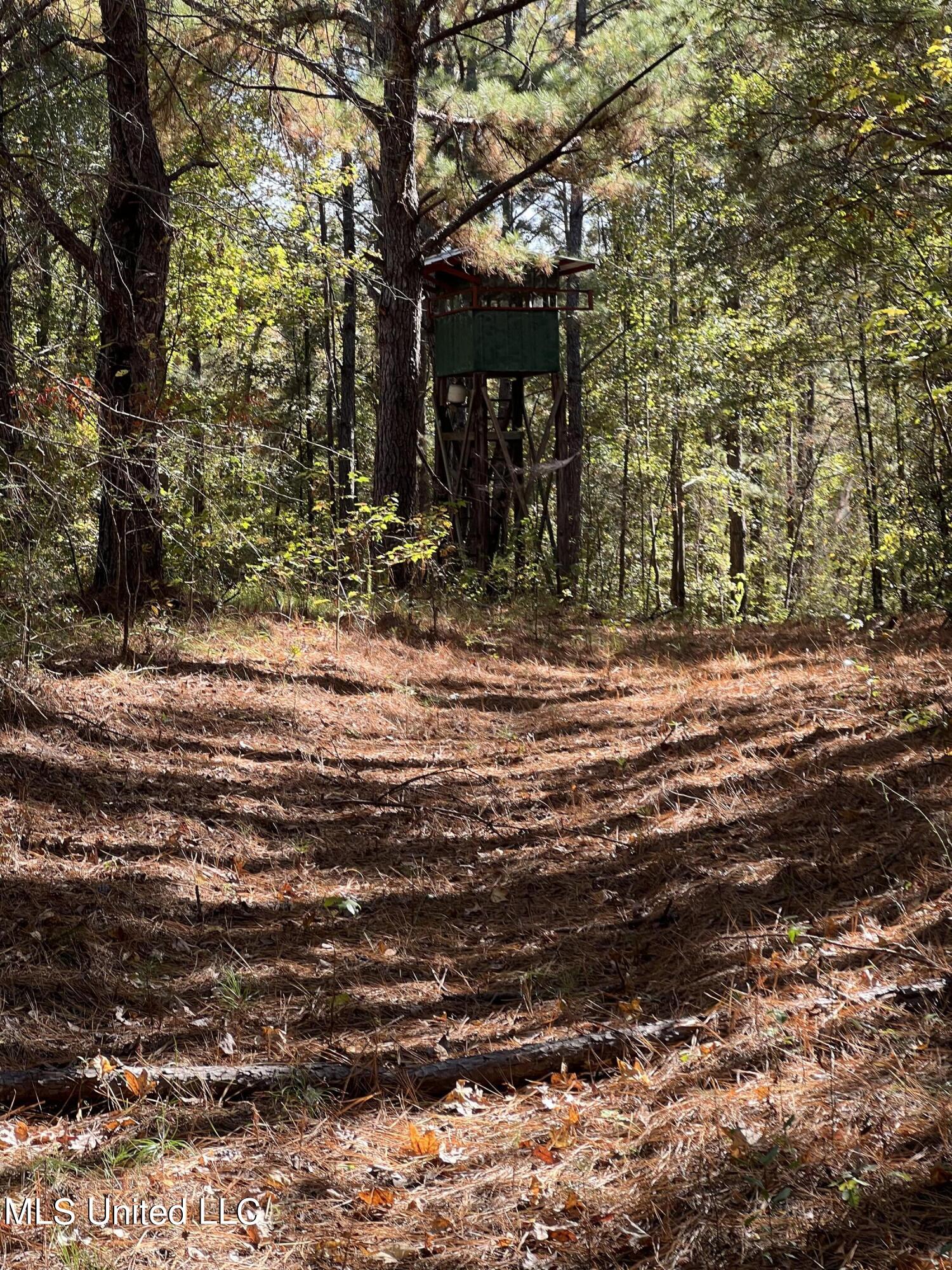 3010 Roberts Road Carthage, MS 39051 - Photo 17 of 25 IMG_8351