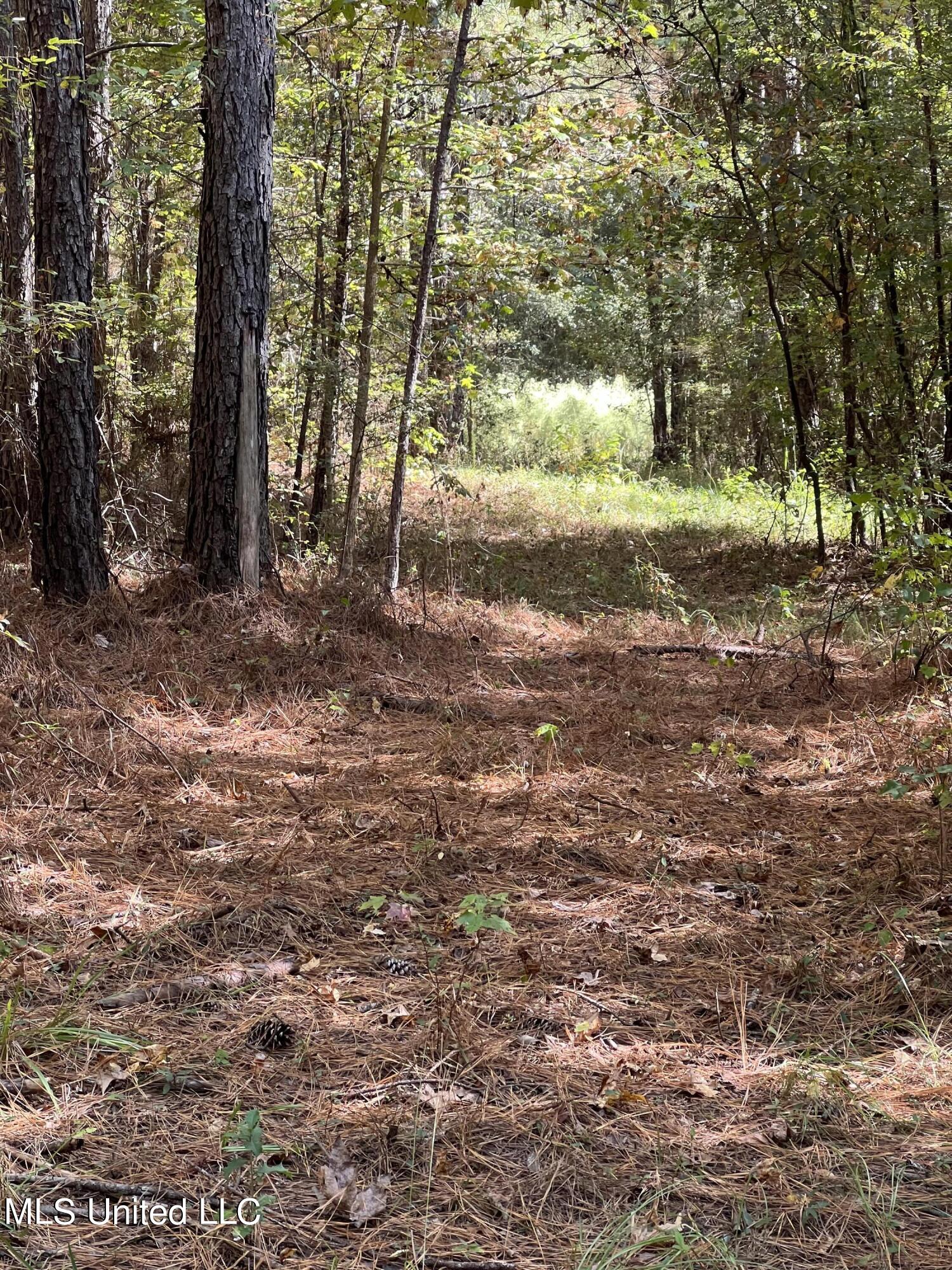 3010 Roberts Road Carthage, MS 39051 - Photo 18 of 25 IMG_8352