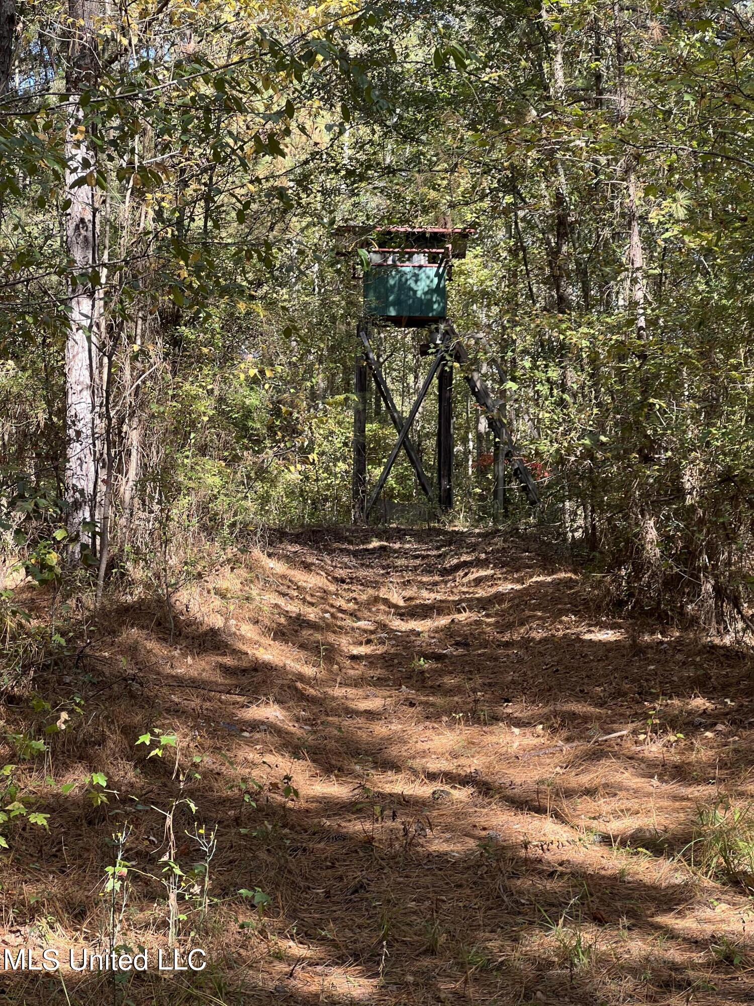 3010 Roberts Road Carthage, MS 39051 - Photo 19 of 25 IMG_8353