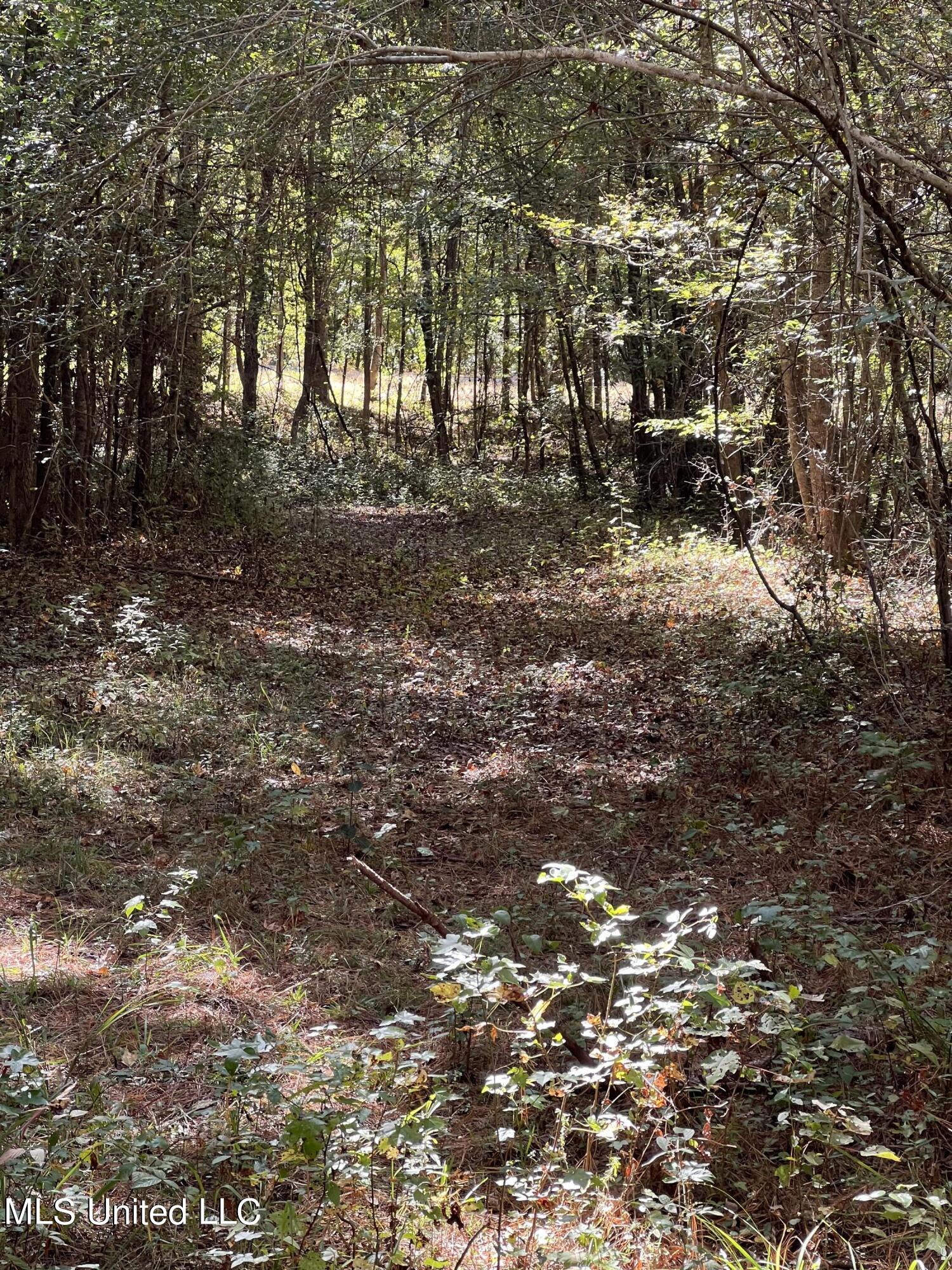 3010 Roberts Road Carthage, MS 39051 - Photo 20 of 25 IMG_8354