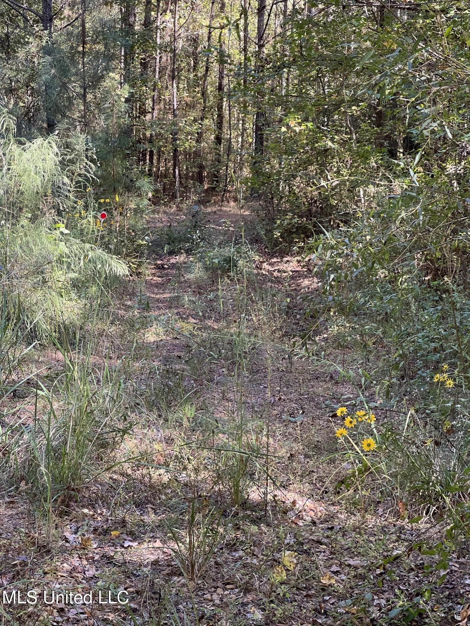 3010 Roberts Road Carthage, MS 39051 - Photo 21 of 25 IMG_8355