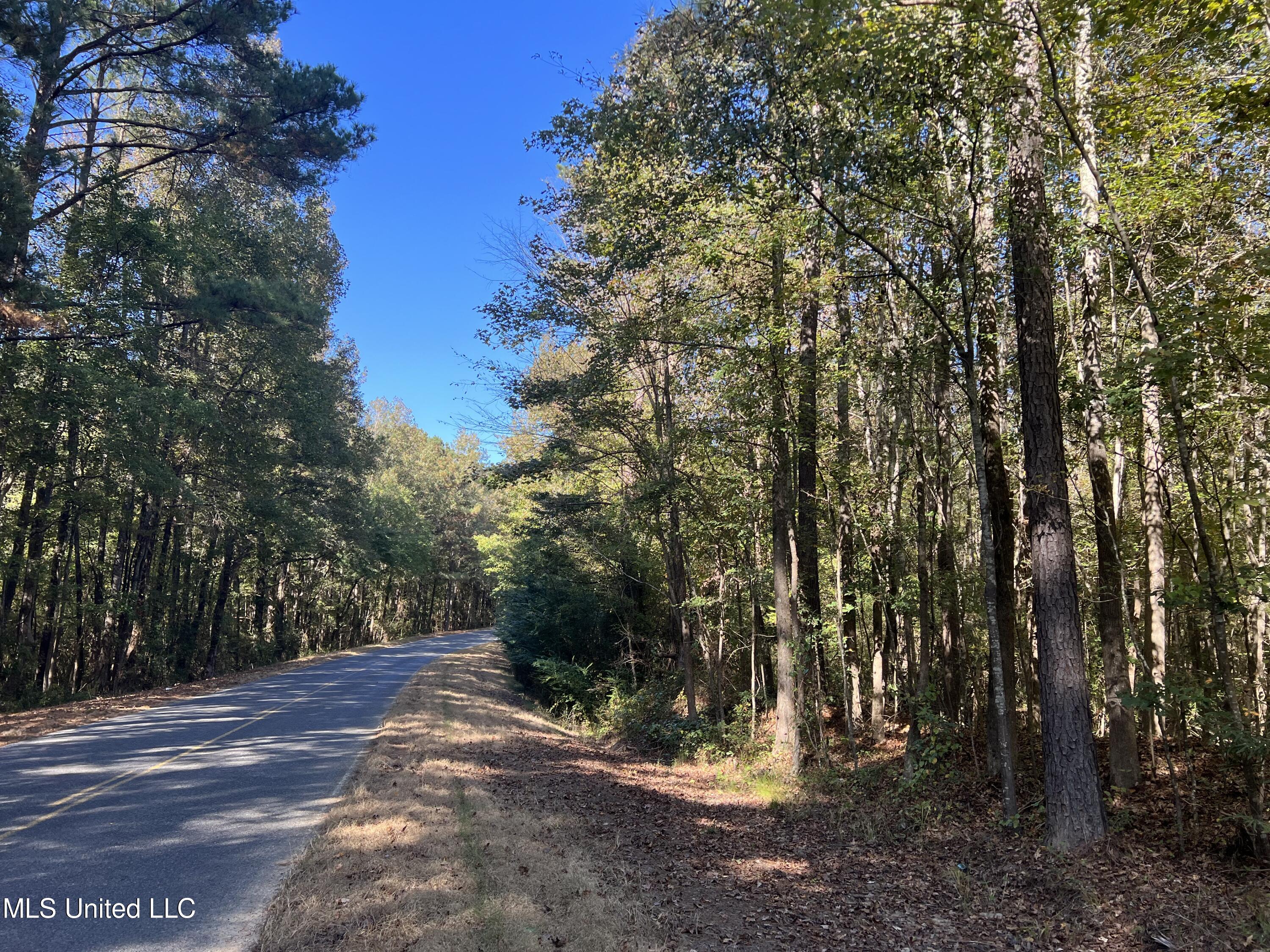 3010 Roberts Road Carthage, MS 39051 - Photo 24 of 25 IMG_8358