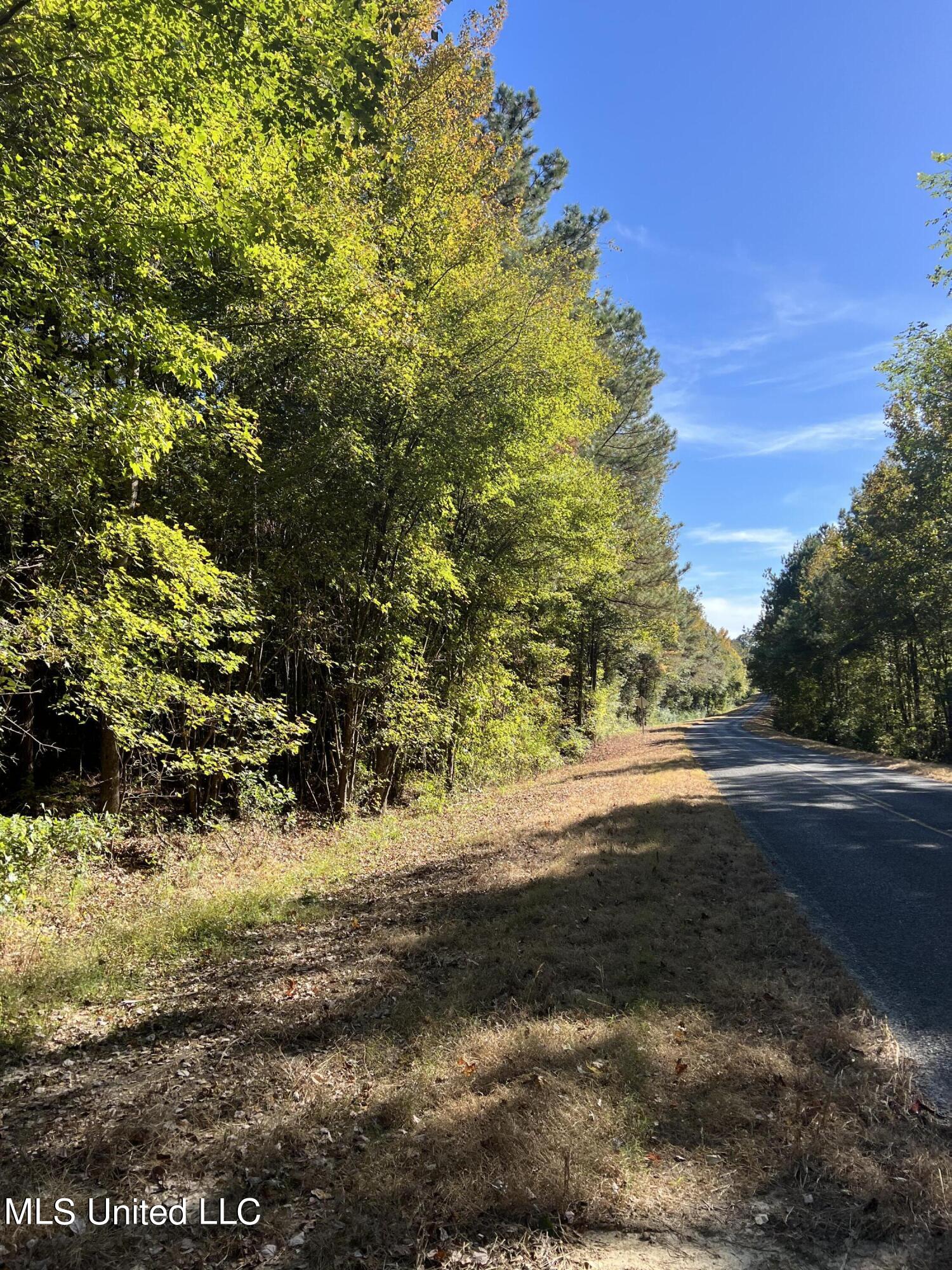 3010 Roberts Road Carthage, MS 39051 - Photo 25 of 25 IMG_8359