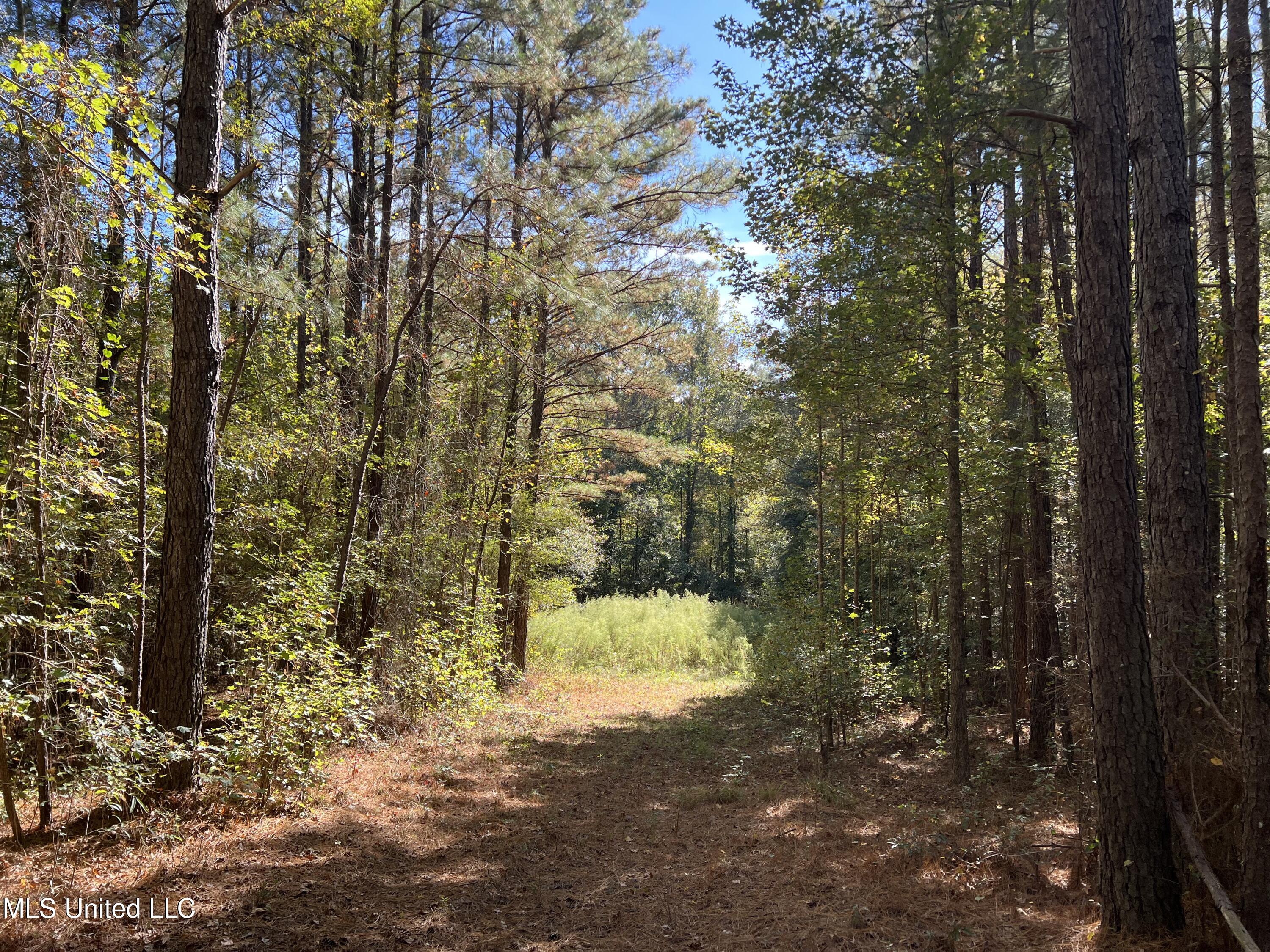 3010 Roberts Road Carthage, MS 39051 - Photo 5 of 25 IMG_8337