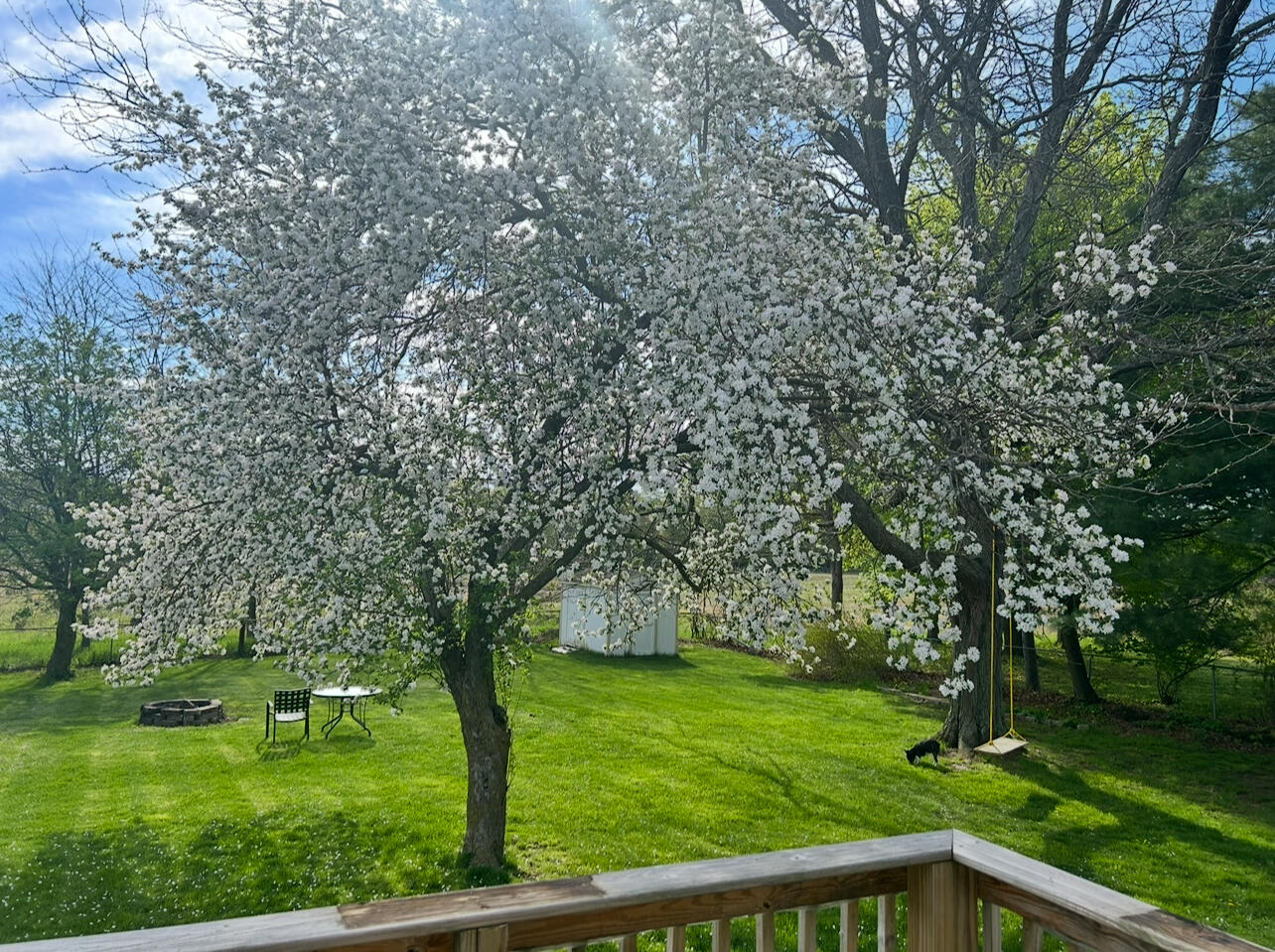 92 South Amber Road Scottville, MI 49454 - Photo 17 of 21 Backyard - Summer