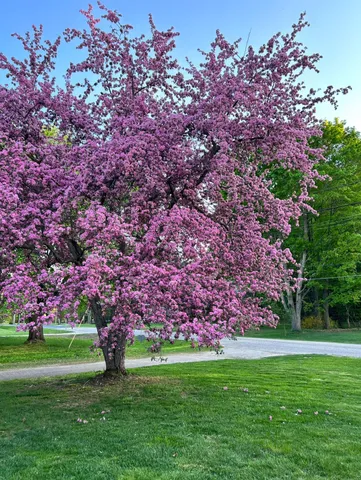 $225,000 | 92 South Amber Road, Scottville, MI 49454