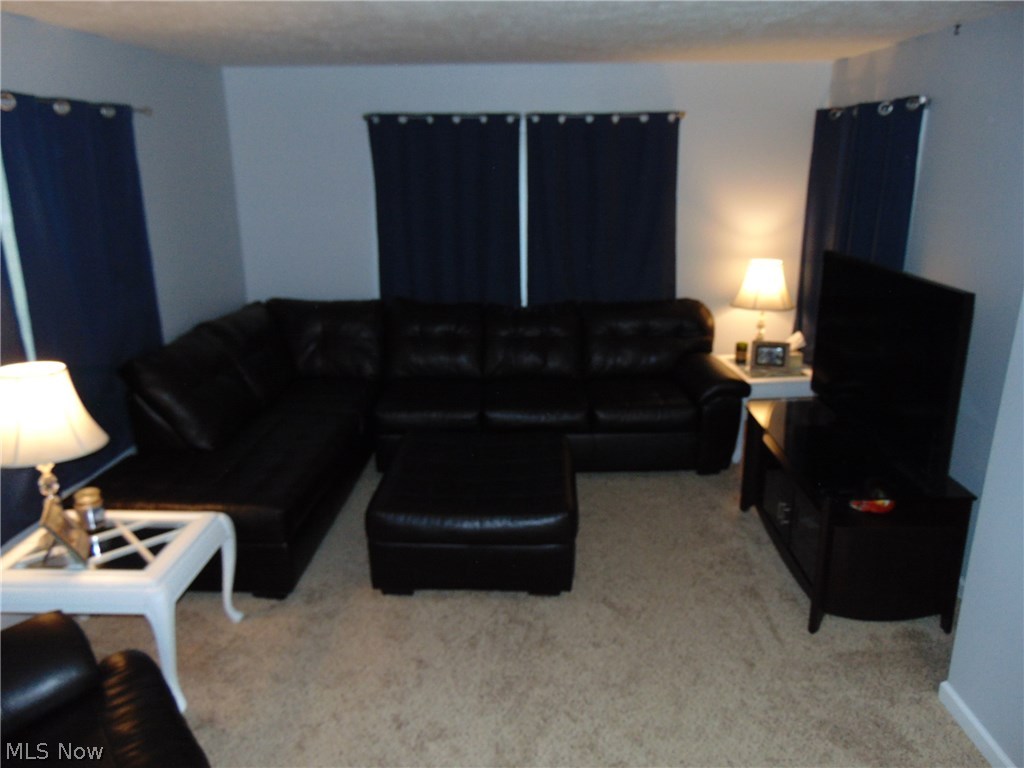 1322 Bratton Road Jefferson, OH 44047 - Photo 19 of 26 Gallery Image 19