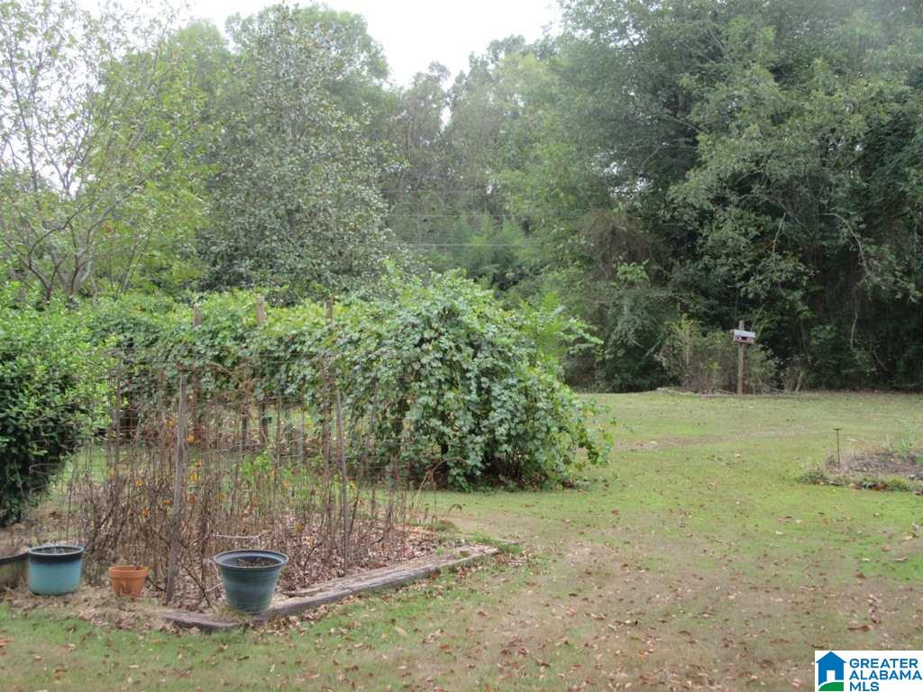 905 Brecon Access Road Talladega, AL 35160 - Photo 30 of 30