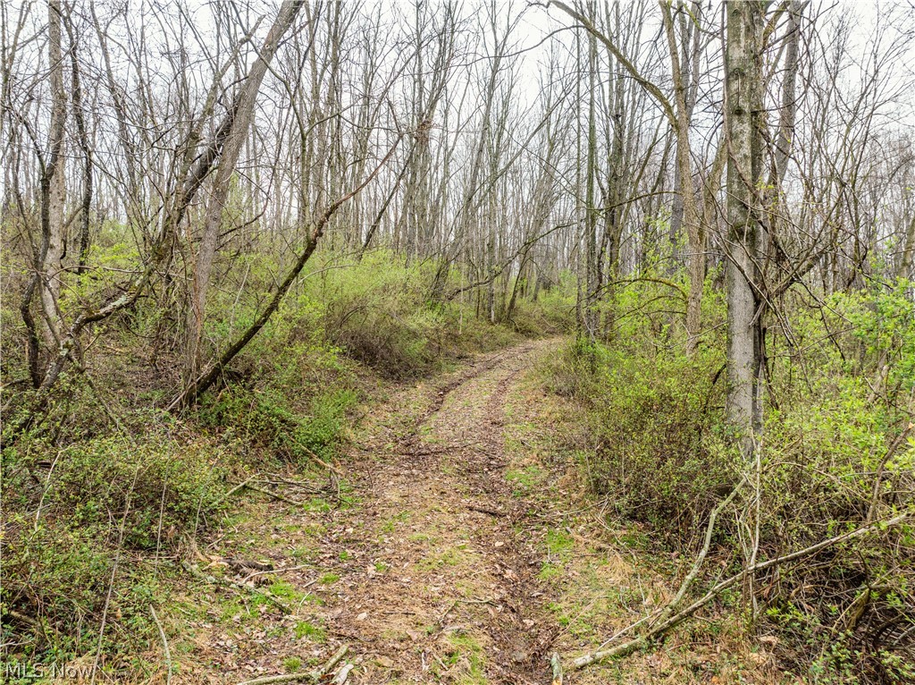 Buck Hill Road Frazeysburg, OH 43822 - Photo 16 of 24