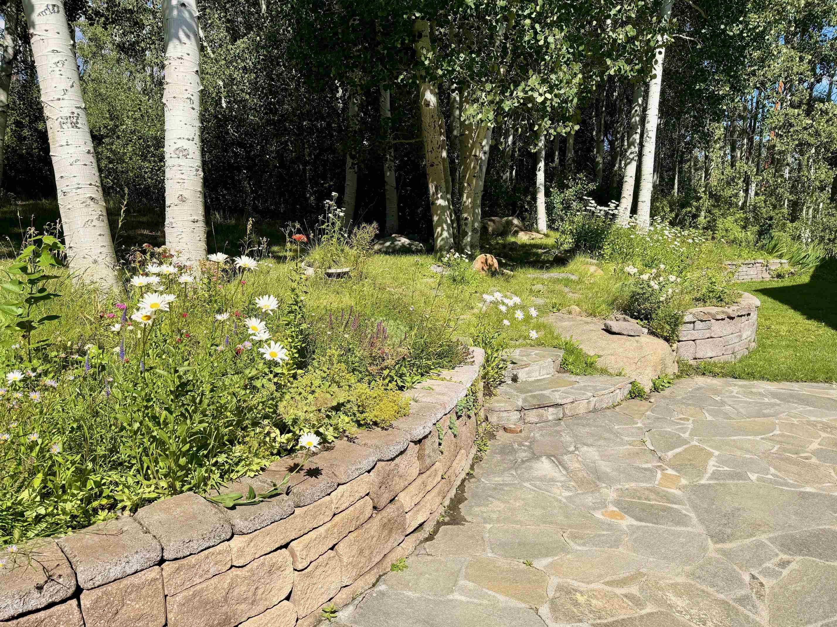 22 Juniper Drive, Unit 2 Mammoth Lakes, CA 93546 - Photo 38 of 50 a view of a pathway with a yard