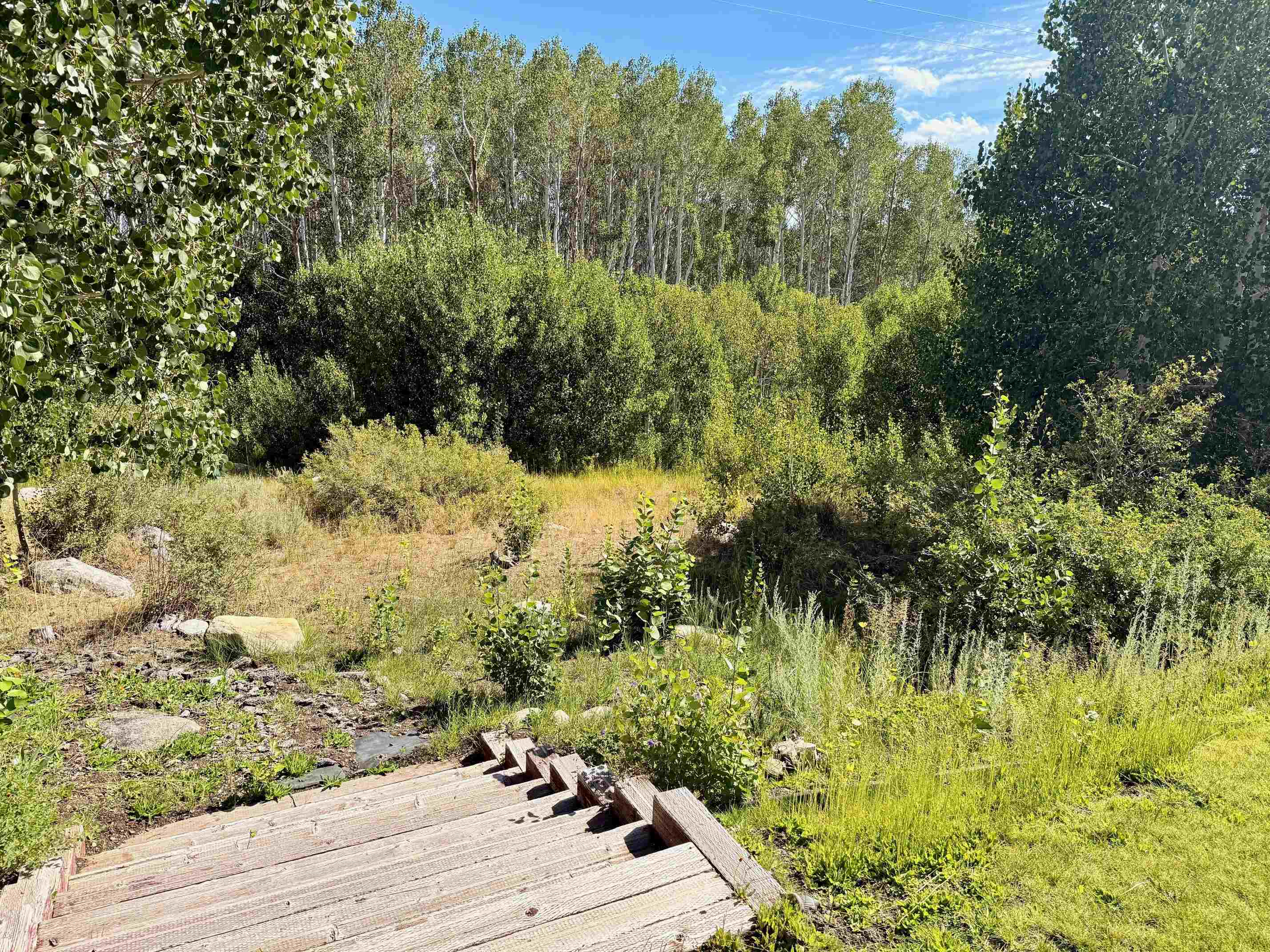 22 Juniper Drive, Unit 2 Mammoth Lakes, CA 93546 - Photo 39 of 50 a view of a yard of a house