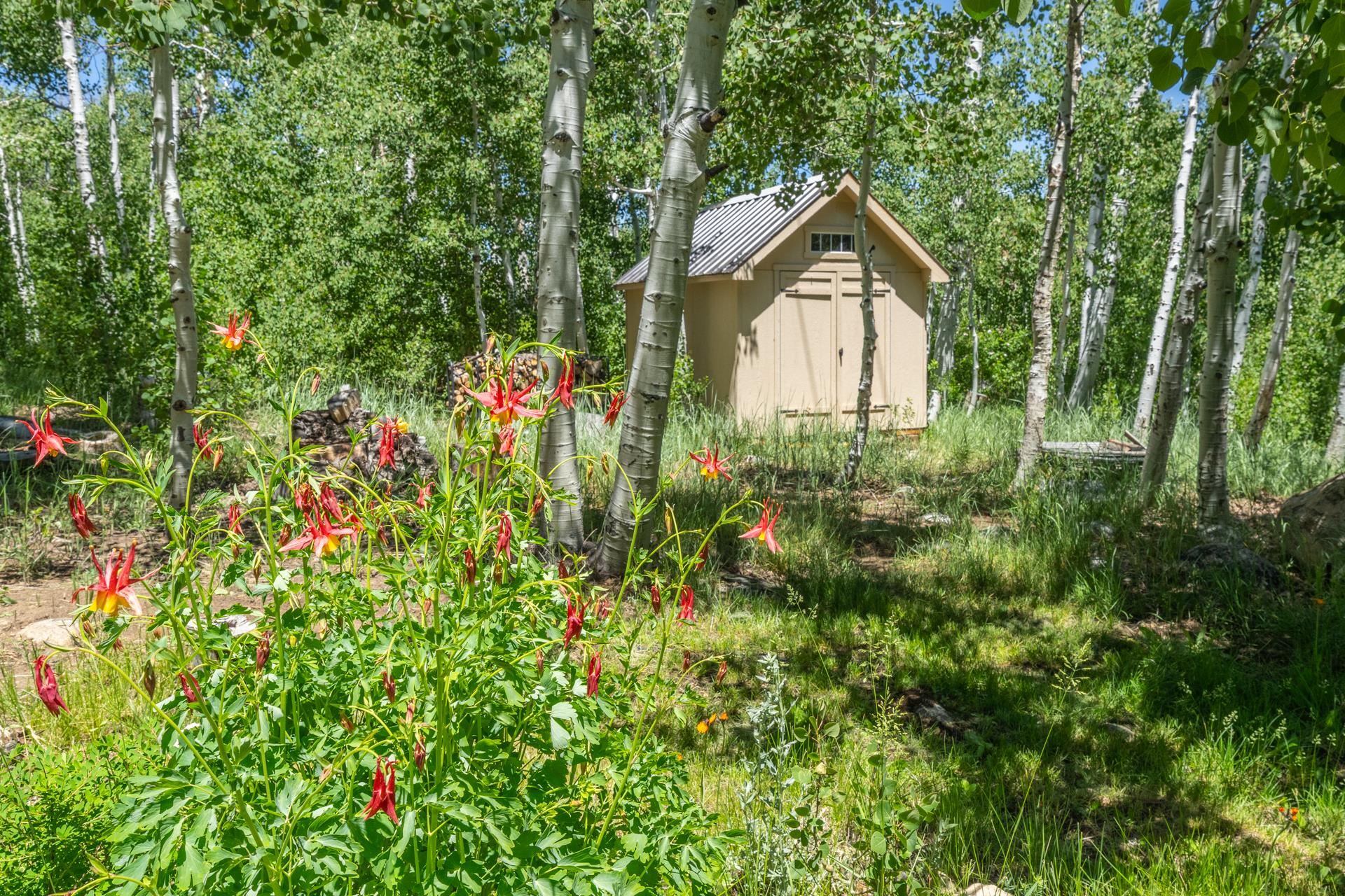 22 Juniper Drive, Unit 2 Mammoth Lakes, CA 93546 - Photo 41 of 50 a view of a pathway in front of house with green space