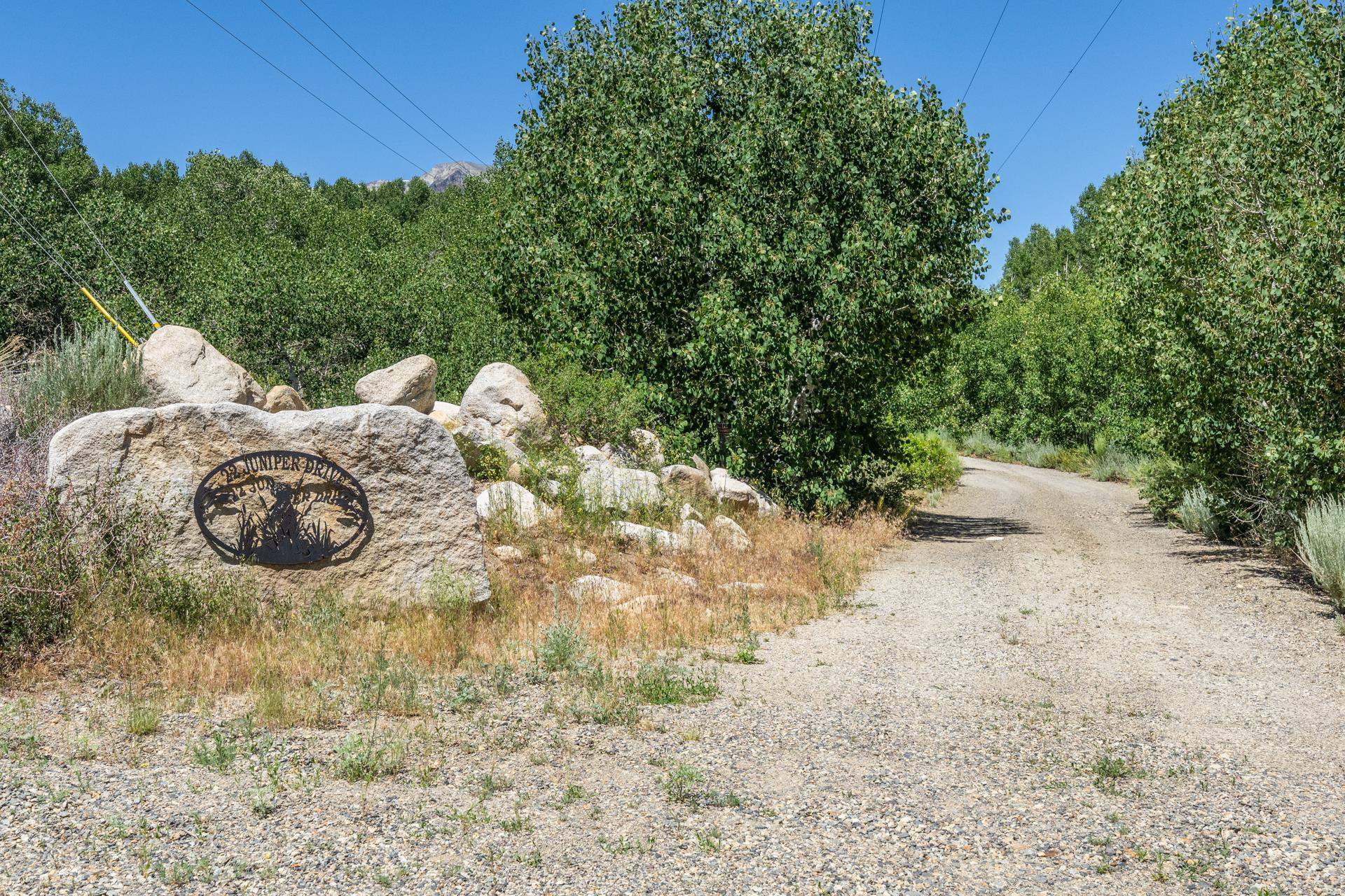 22 Juniper Drive, Unit 2 Mammoth Lakes, CA 93546 - Photo 46 of 50 a view of a backyard with table and chairs plants and large trees