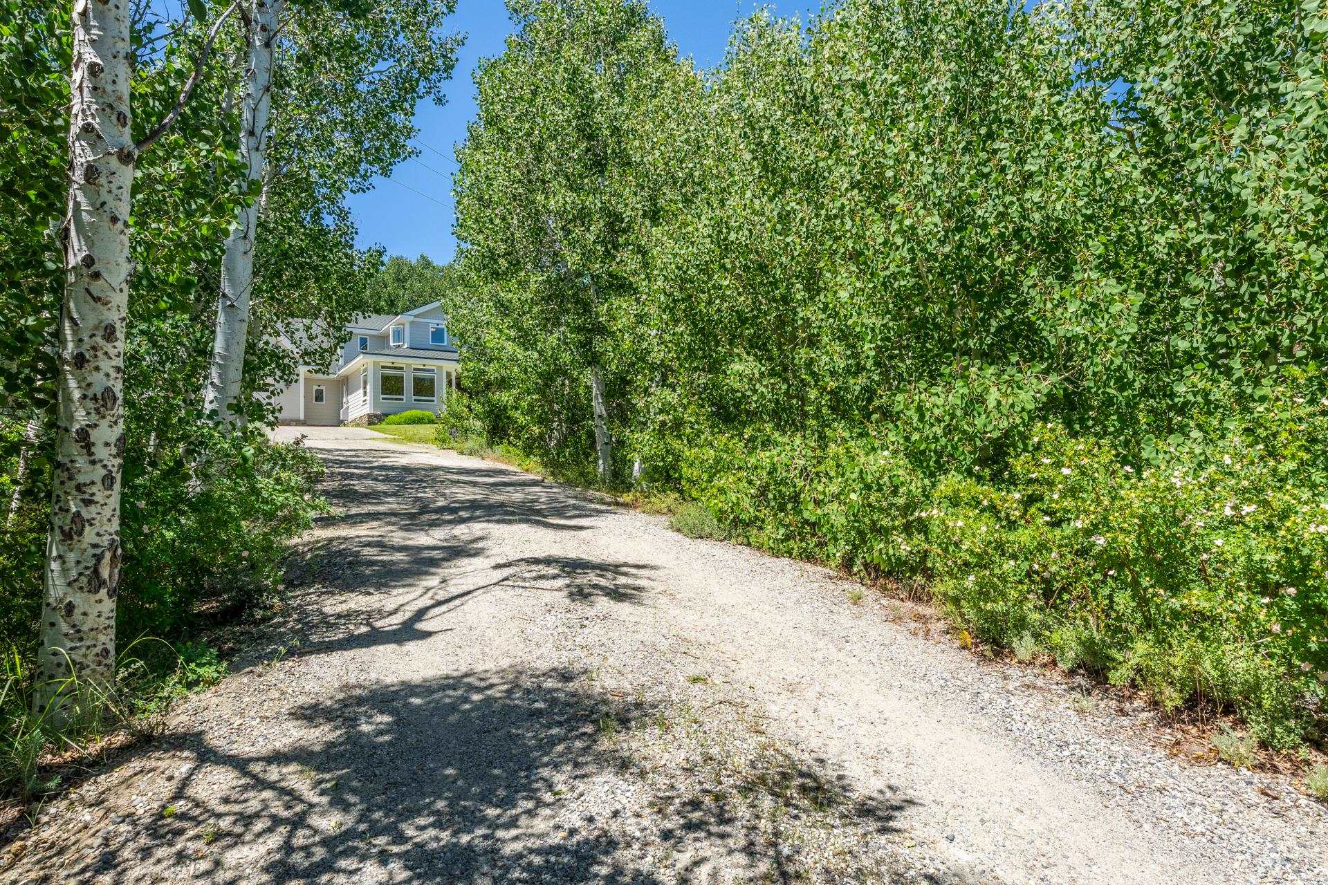 22 Juniper Drive, Unit 2 Mammoth Lakes, CA 93546 - Photo 47 of 50 a view of a backyard with potted plants and large trees