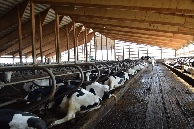 $3,800,000 | S7450 Morning Crest Road, Augusta, WI 54722