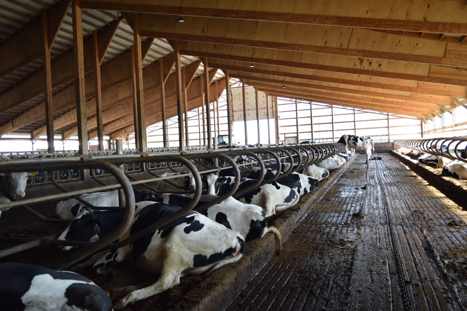 S7450 Morning Crest Road Augusta, WI 54722 - Photo 12 of 20