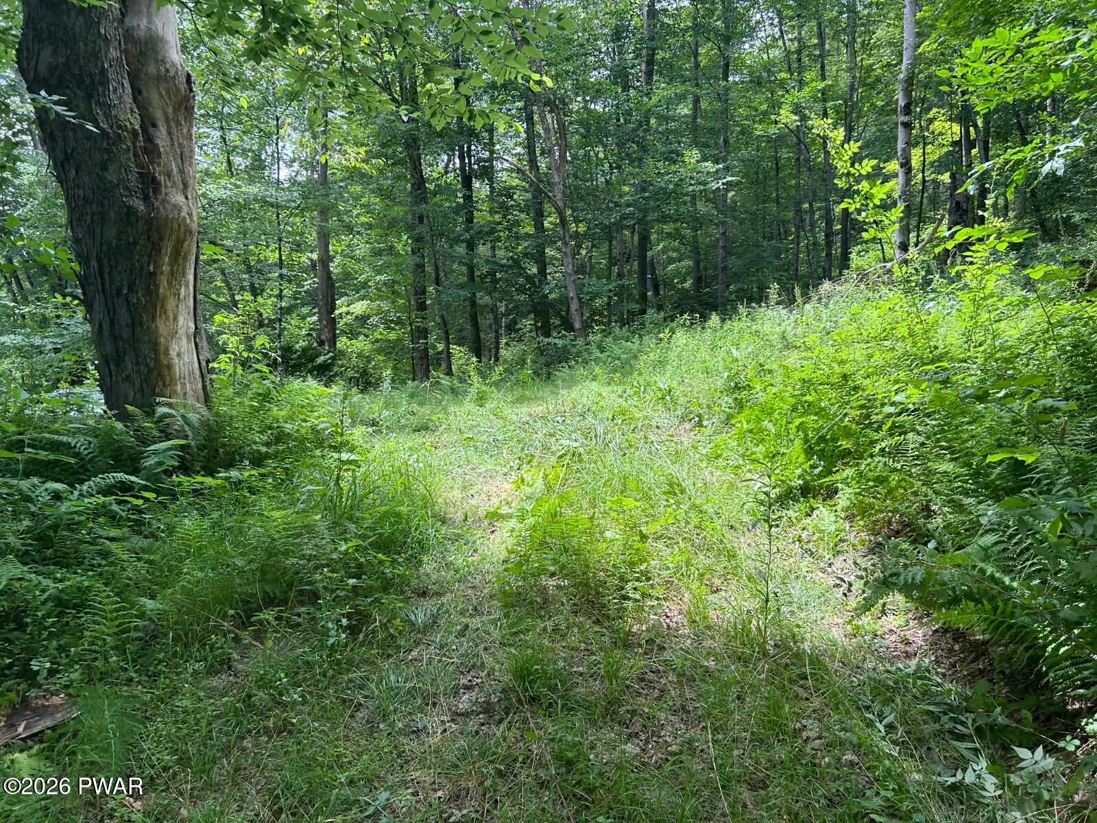 99 Sherman Road Susquehanna, PA 18847 - Photo 65 of 88