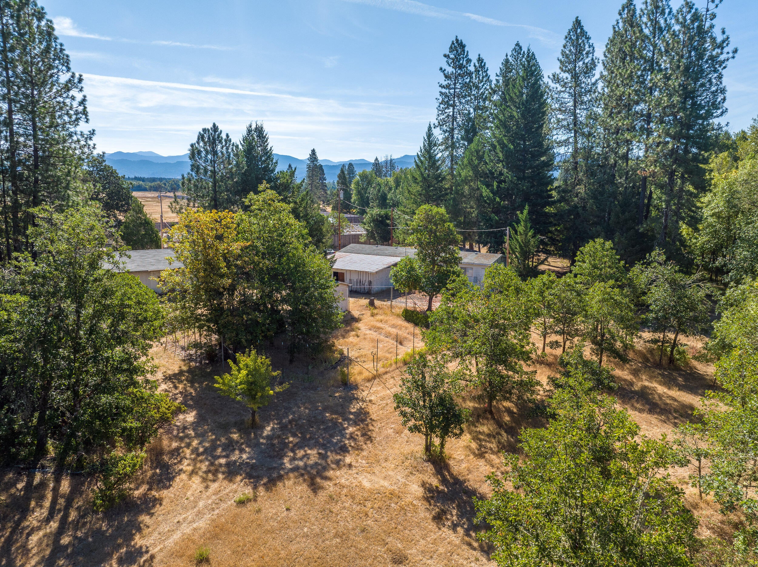 190 Martin Road Cave Junction, OR 97523 - Photo 39 of 43 190MartinRd-029