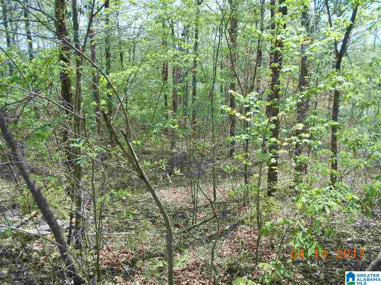 278 County Road Tallassee, AL 36078 - Photo 7 of 8