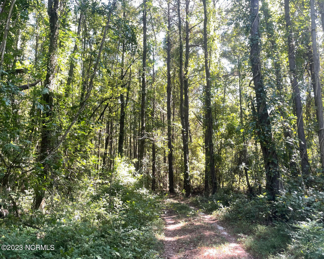 0 Chestnutt Road Warsaw, NC 28398 - Photo 11 of 16 Path