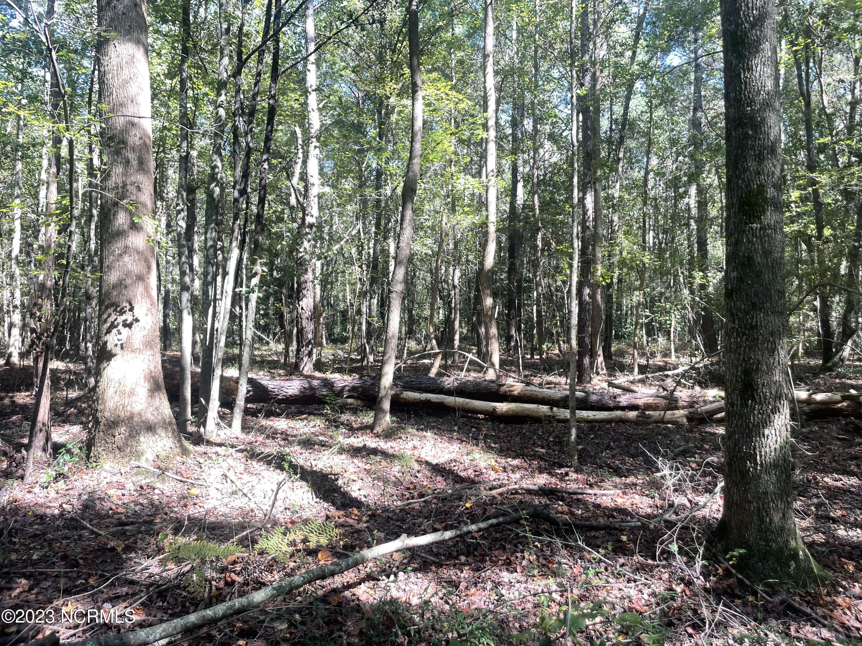 0 Chestnutt Road Warsaw, NC 28398 - Photo 16 of 16 Woods 3