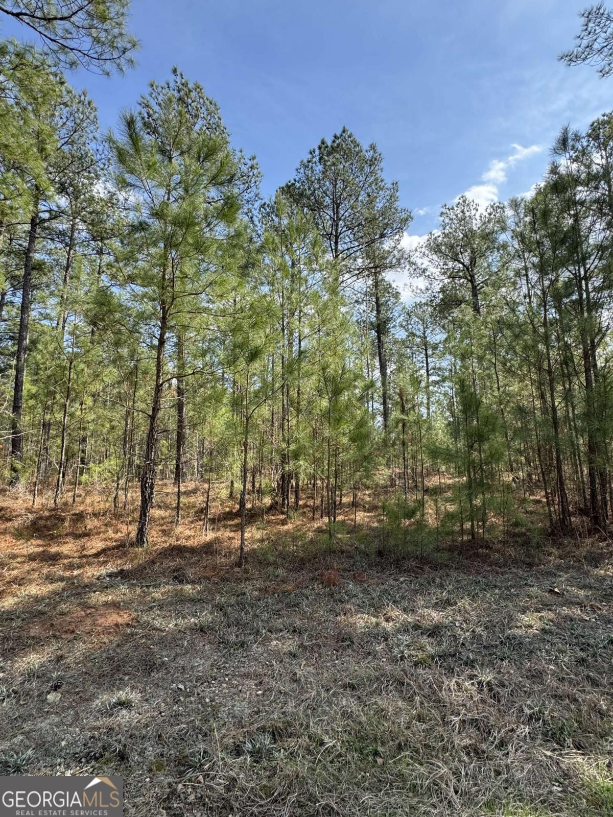 0 Anthony Shoals Road Tignall, GA 30668 - Photo 2 of 4 a view of outdoor space with trees