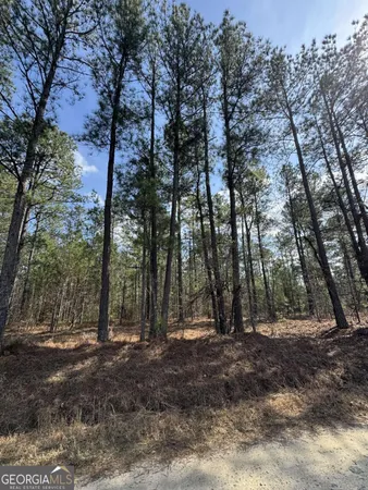 a view of outdoor space with deck and trees